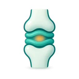 Chondroitin